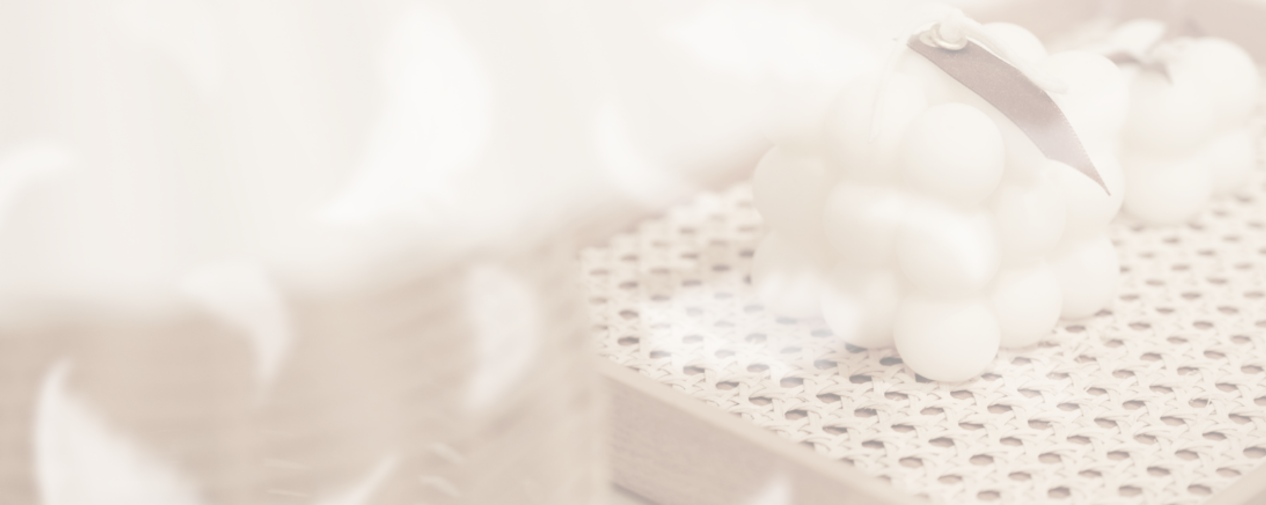 メニューセクション背景